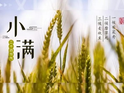520，給您“滿”心誠意